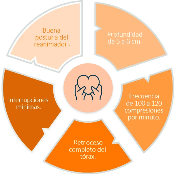 Características de las compresiones: profundidad, frecuencia, retroceso, interrupciones mínimas, postura
