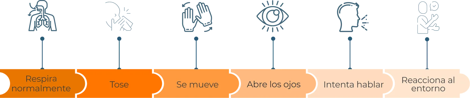 Signos de retorno de circulación espontánea: respira normalmente, tose, se mueve, abre los ojos, intenta hablar, reacciona al entorno